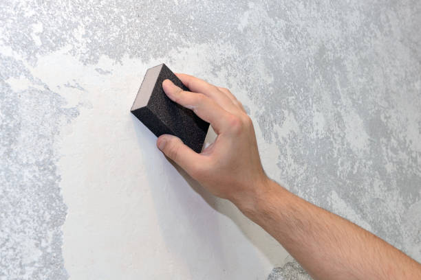 Best Attic Mold Removal  in Piney, AR