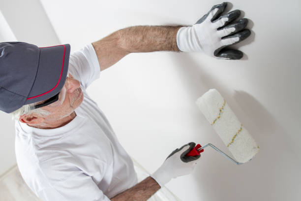 Best Mold Damage Restoration  in Piney, AR