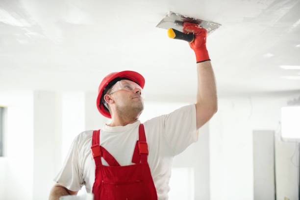 Piney, AR Mold Removal Company
