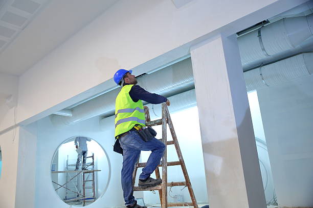 Best Environmental Consulting for Mold Prevention  in Piney, AR